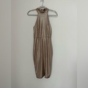 Gold Shimmer Fitted Dress